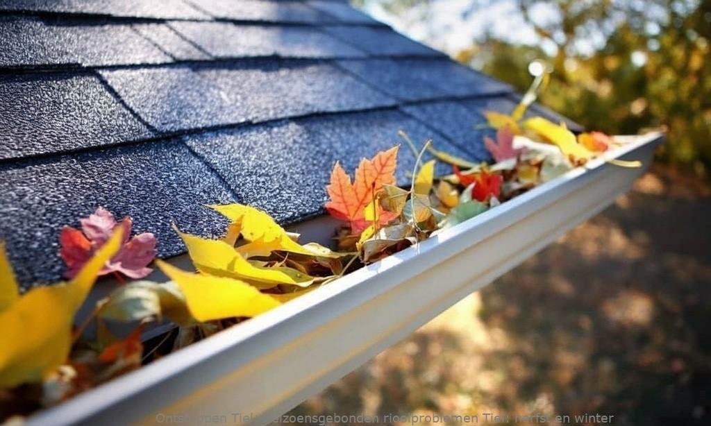 Seizoensgebonden rioolproblemen Tiel: herfst en winter